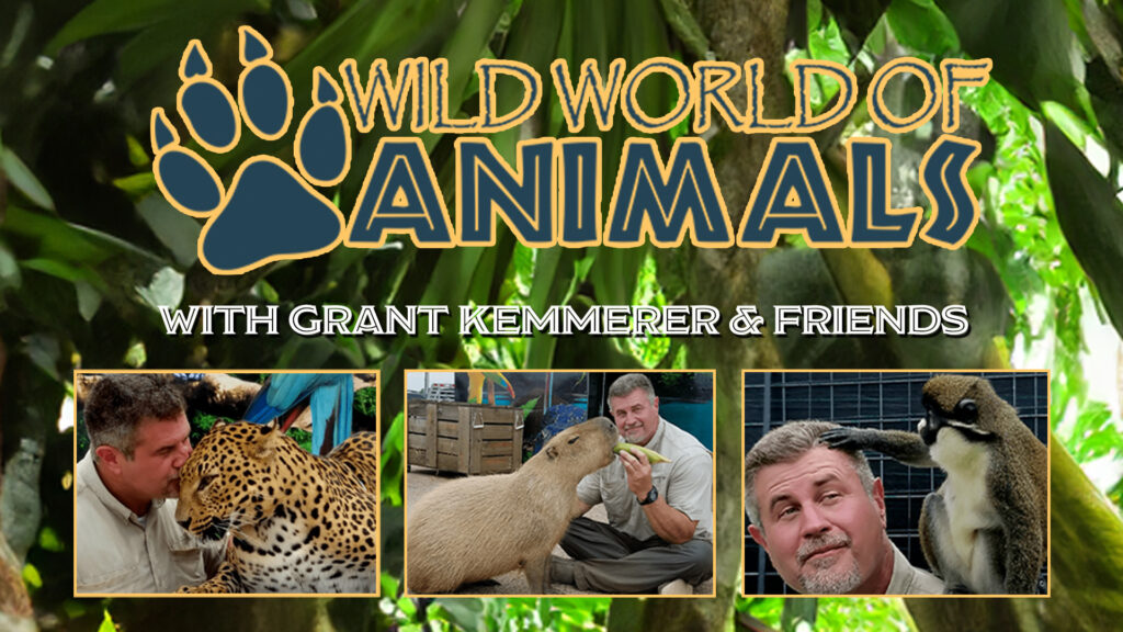 Wild World of Animals with Grant Kemmerer & Friends