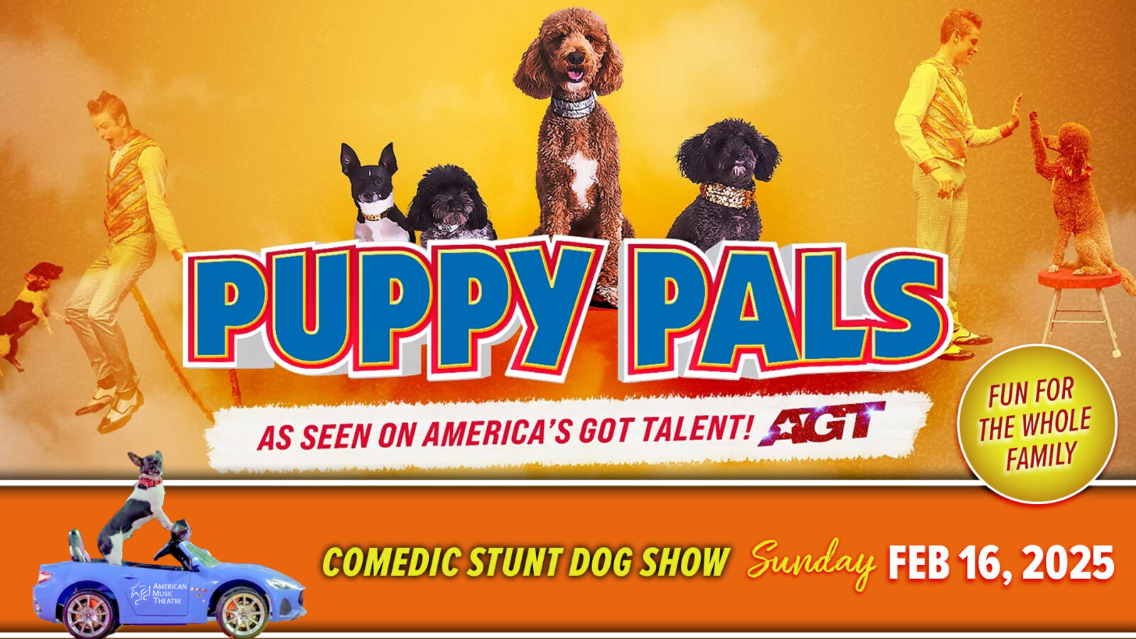 Puppy Pals Live