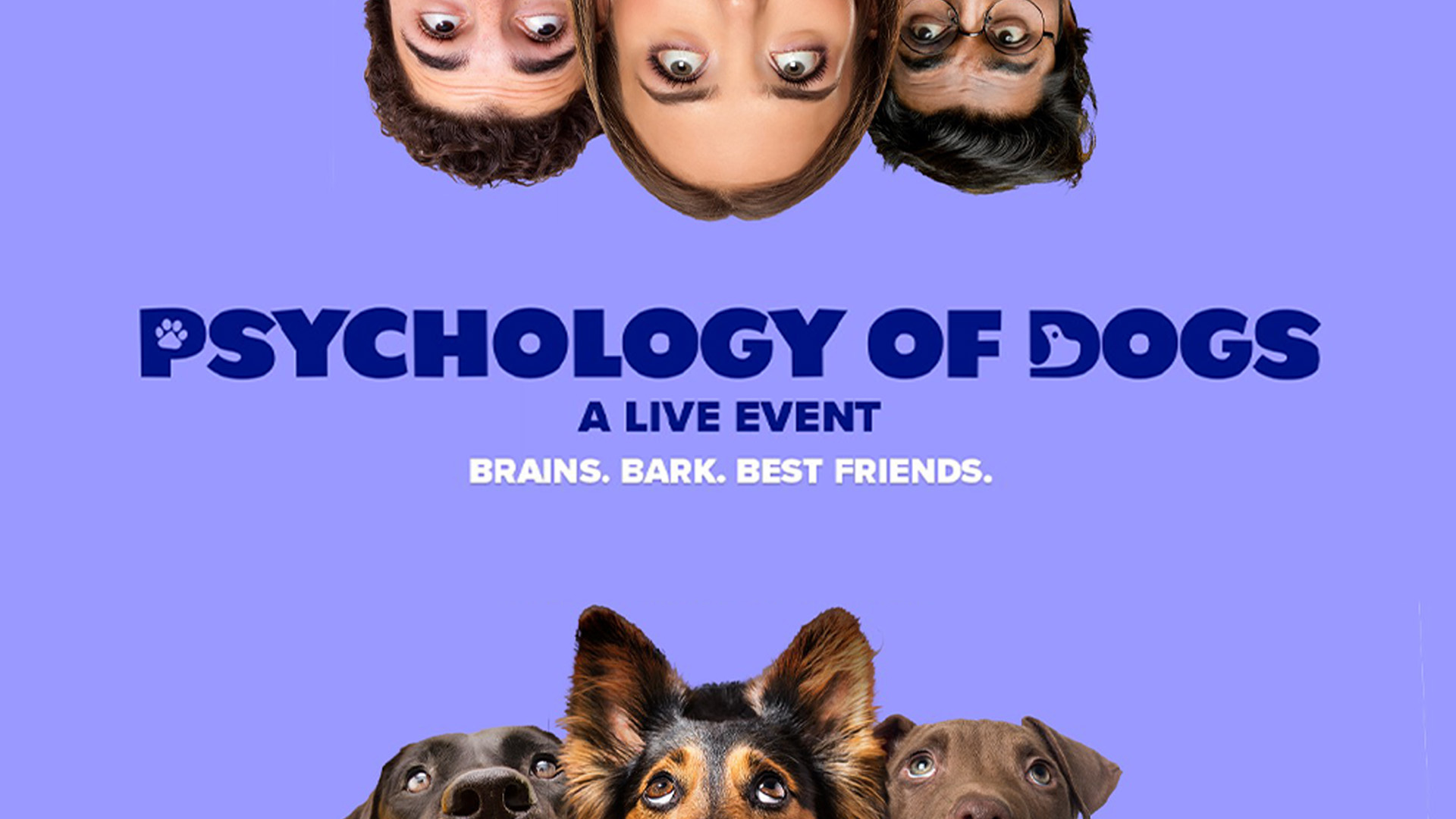 Psychology of Dogs